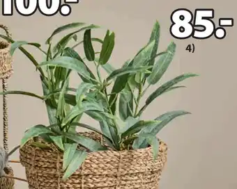 JYSK LARSSON KUNSTIG PLANTE tilbud