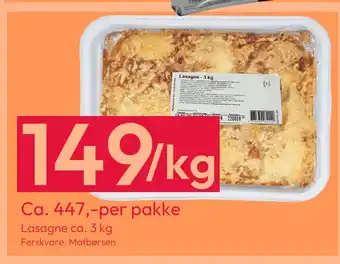 Lasagne ca. 3 kg