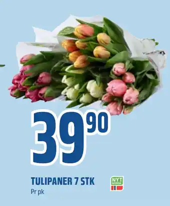 Coop Obs TULIPANER 7 STK tilbud