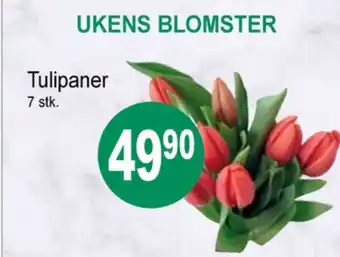 Joker Ukjent bukett tilbud