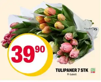 Coop Extra TULIPANER 7 STK tilbud