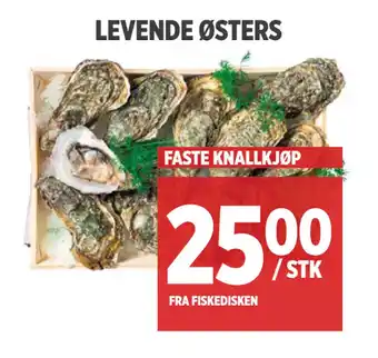 Meny LEVENDE ØSTERS tilbud