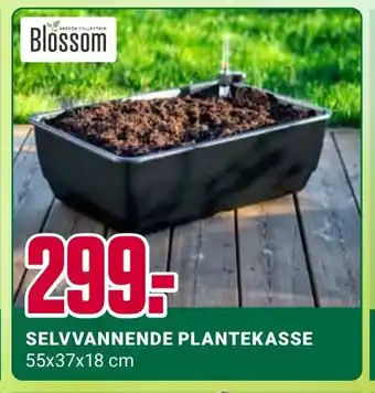 Europris SELVVANNENDE PLANTEKASSE tilbud
