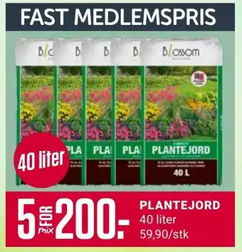 Europris PLANTEJORD tilbud