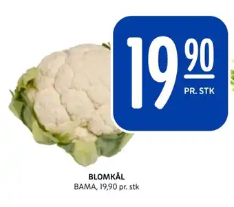 Rema 1000 BLOMKÅL tilbud
