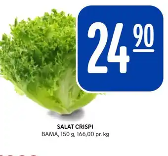 Rema 1000 SALAT CRISPI tilbud