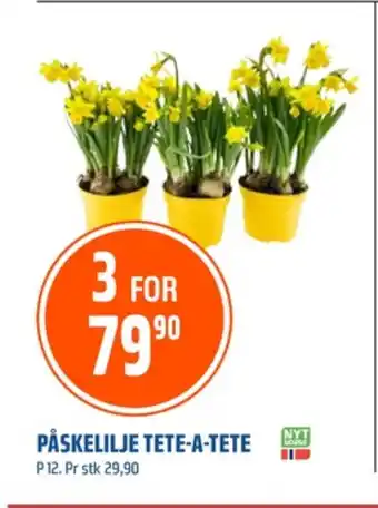Coop Obs Ukjent plante tilbud