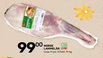 Coop lammelår