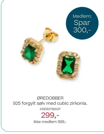 Bjørklund ØREDOBBER 925 forgylt sølv med cubic zirkonia tilbud