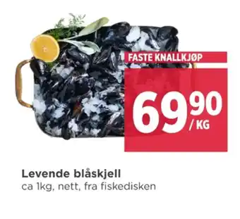 Meny Ukjent blåskjell tilbud