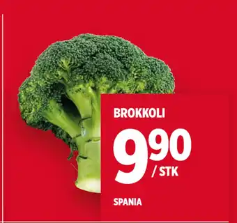 Meny BROKKOLI tilbud
