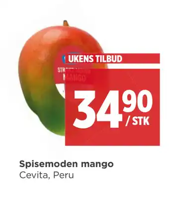 Meny Spisemoden mango tilbud