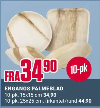 Europris ENGANGS PALMEBLAD tilbud