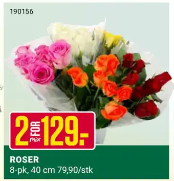 Europris ROSER tilbud