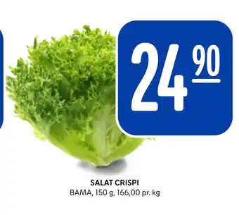Rema 1000 SALAT CRISPI tilbud