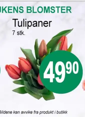 Joker Ukjent bukett tilbud
