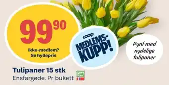 Coop Mega Ukjent bukett tilbud