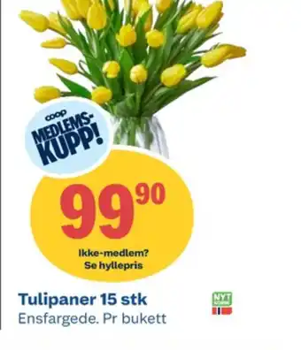 Coop Obs Ukjent bukett tilbud