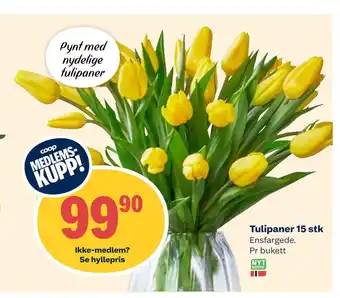Coop Extra Tulipaner 15 stk tilbud