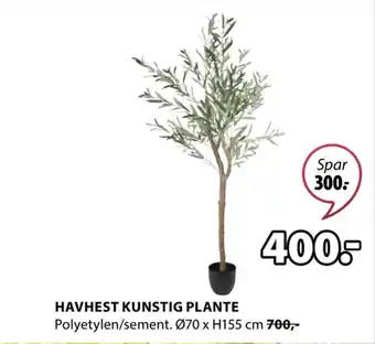 JYSK HAVHEST KUNSTIG PLANTE tilbud