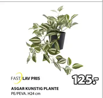 JYSK ASGAR KUNSTIG PLANTE tilbud