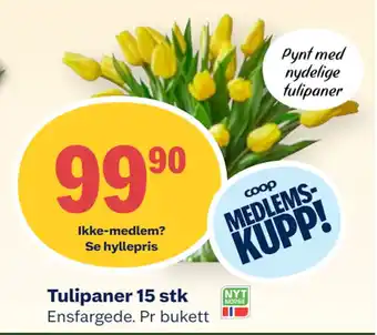 Coop Mega Tulipaner 15 stk tilbud
