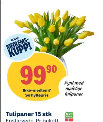 Coop Obs Tulipaner 15 stk tilbud