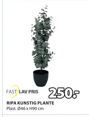 JYSK RIPA KUNSTIG PLANTE tilbud