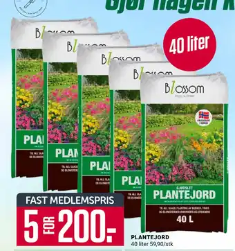 Europris PLANTEJORD tilbud