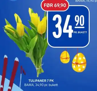 Rema 1000 TULIPANER 7 PK tilbud