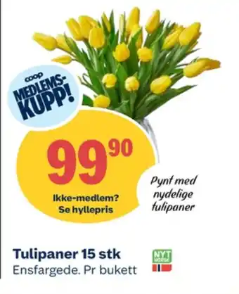 Coop Obs Ukjent bukett tilbud