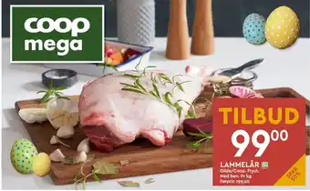 Folkets lammelår