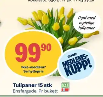 Coop Mega Ukjent bukett tilbud