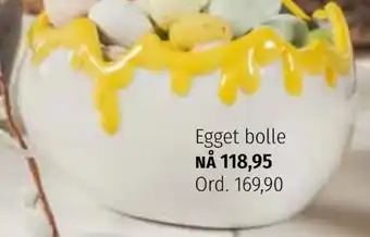 Nille Egget bolle tilbud