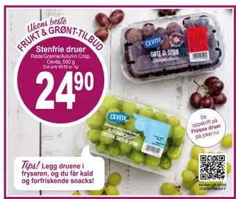 Joker Stenfrie druer tilbud