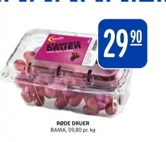 Bendit druer