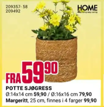 Europris Home potteskjuler tilbud