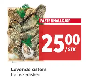 Meny Levende østers tilbud