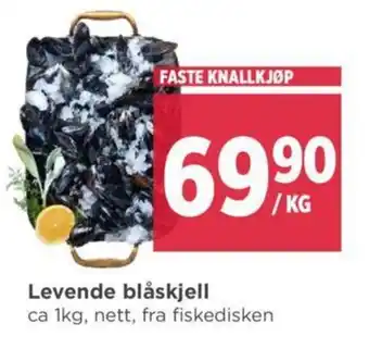 Meny Levende blåskjell tilbud