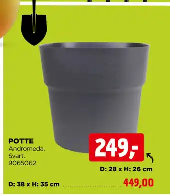 POTTE