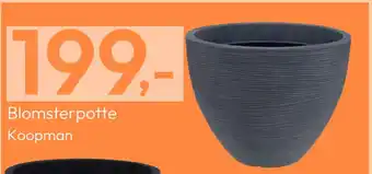 Gigaboks Blomsterpotte tilbud