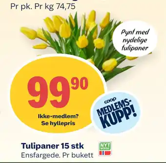 Coop Mega Tulipaner 15 stk tilbud