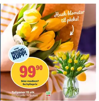 Coop Obs Tulipaner 15 stk tilbud