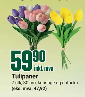 Europris Tulipaner tilbud