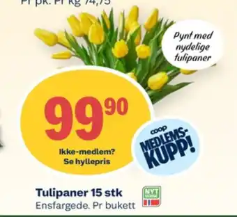 Coop Mega Ukjent bukett tilbud