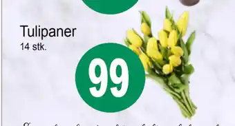 Joker Tulipaner tilbud