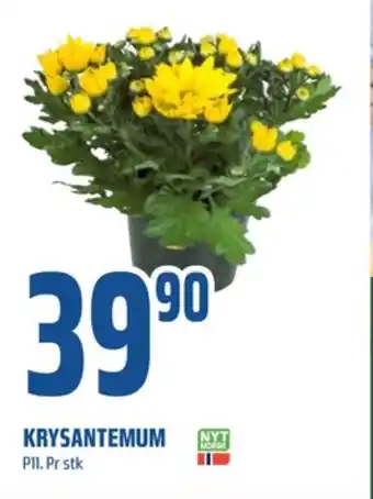 Coop Obs Ukjent plante tilbud