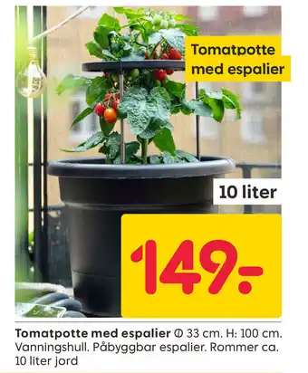Rusta Tomatpotte med espalier tilbud