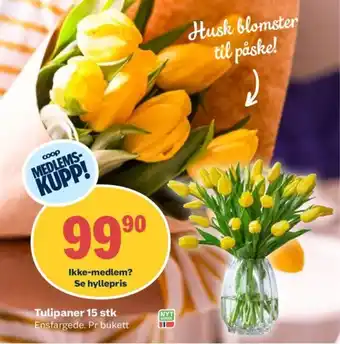 Coop Obs Tulipaner 15 stk tilbud