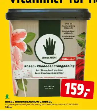 ROSE / RHODODENDRON GJØDSEL